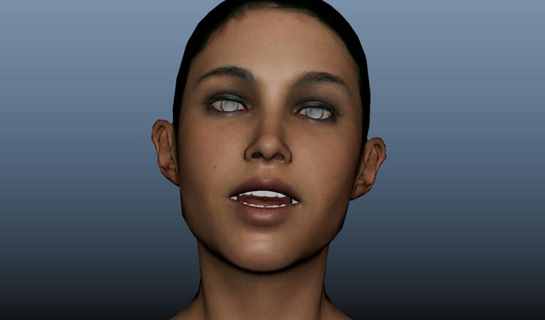 Face Animation Study